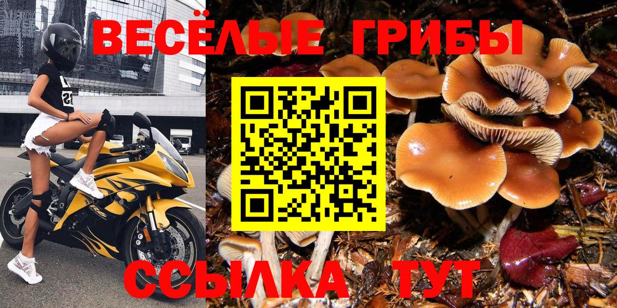 Псилоцибиновые грибы Magic Shrooms Медногорск