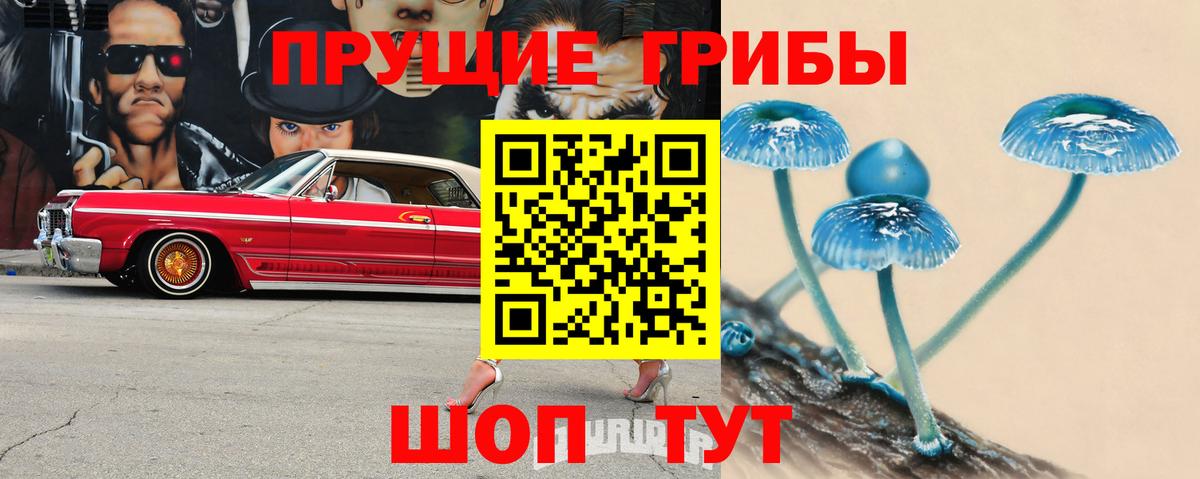 Галлюциногенные грибы GOLDEN TEACHER  Вход с VPN  Медногорск 